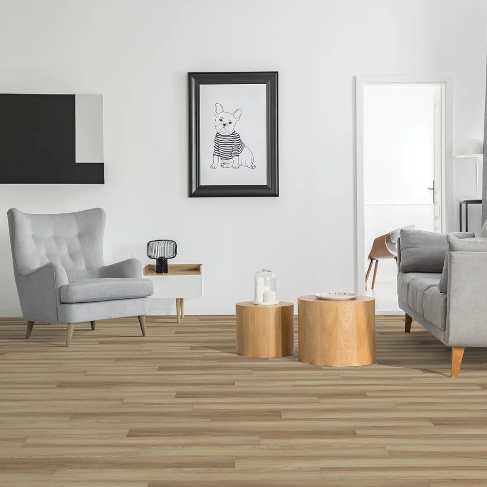 Room Scene