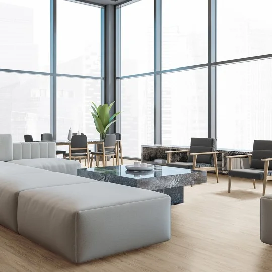Room Scene