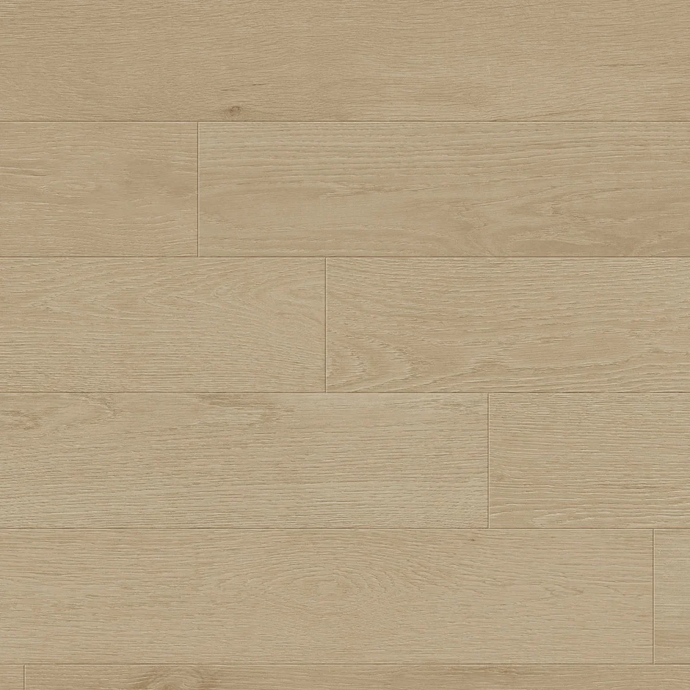 Toucan Studio Collection Oyster