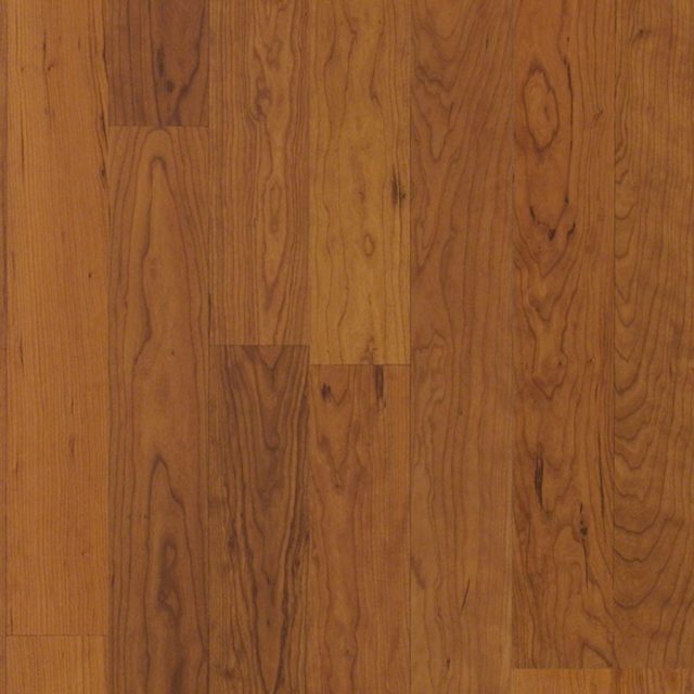 AMERICAN CHERRY Laminate Flooring of Natural Impact II Collection from Shaw Floors Vancouver