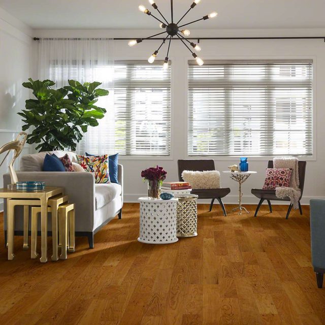 PURE CHERRY Laminate Flooring of Natural Impact II Plus Collection from Shaw Floors Vancouver