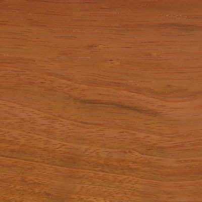 Jatoba