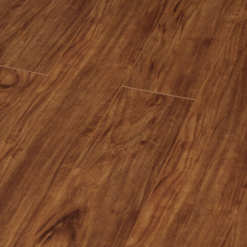 EC8204 Tiger Wood