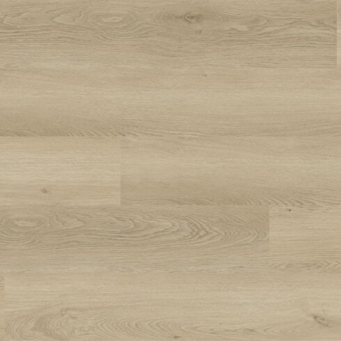 Top-Temporarily-EC641