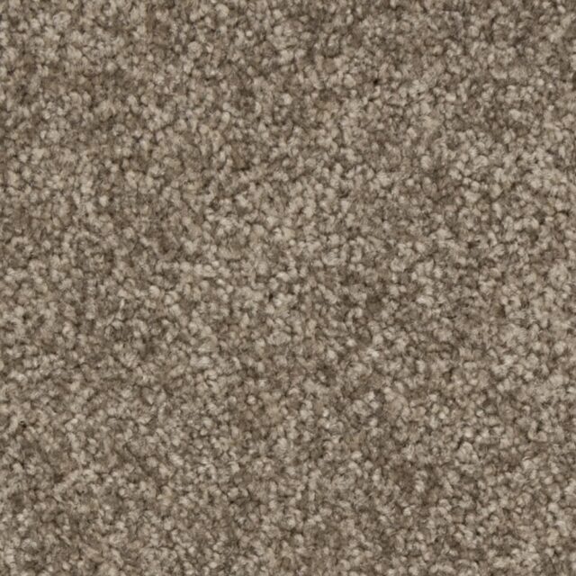 Velvety Bistre 18925