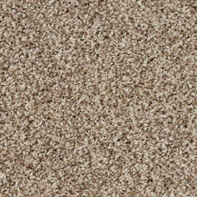 Beige Coral 17163