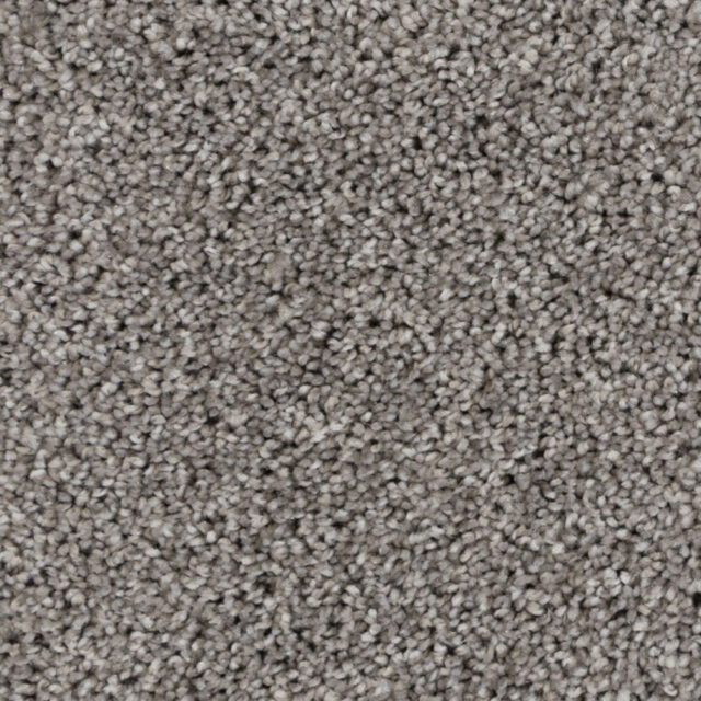 Warm Grey 74562