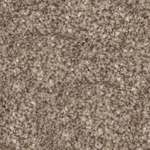 Cabriolet Brown 76838