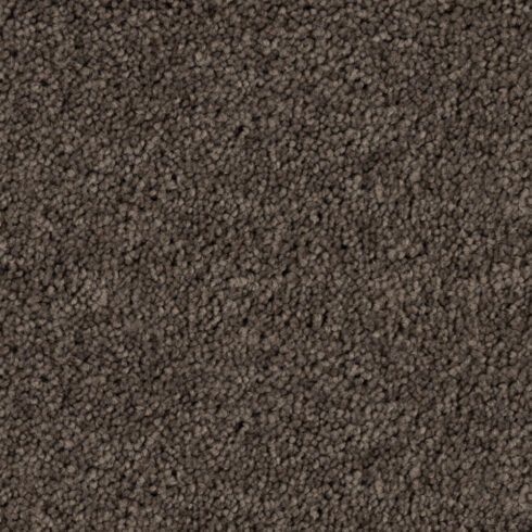 Fig 76868