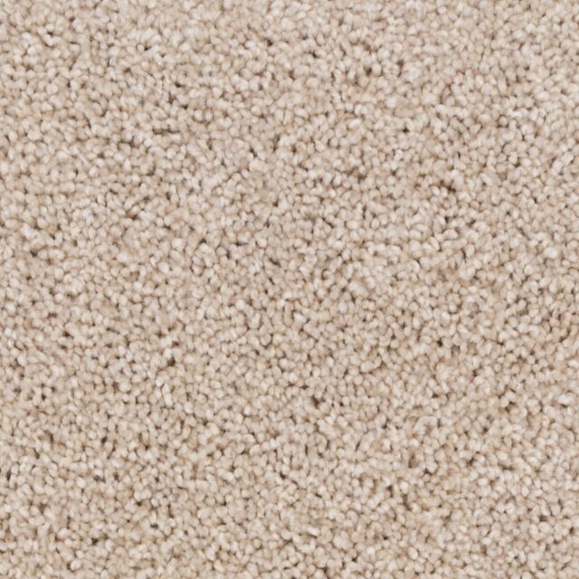 Dune White 14477