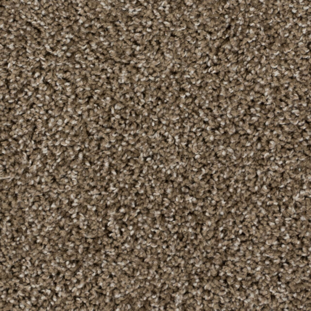Bistre Grey 74299
