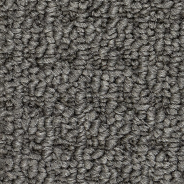 North American Grey 89832