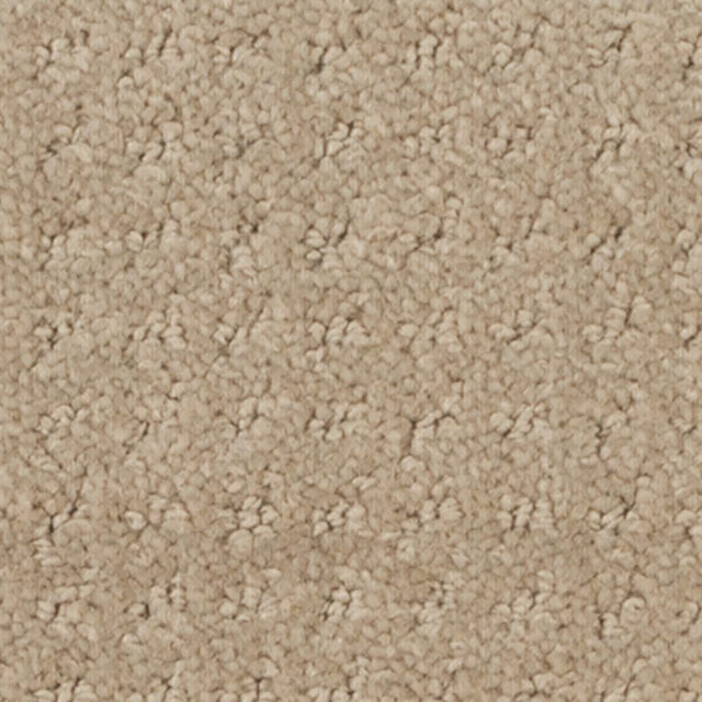 Gardenia Beige 14252