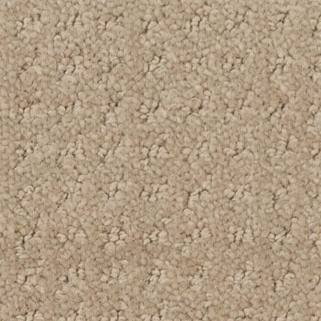 Gardenia Beige 14252