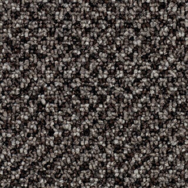 Coconut Brown 77062