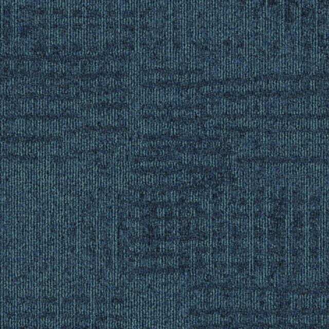 M579