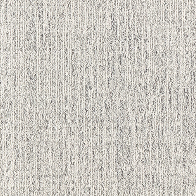 E010