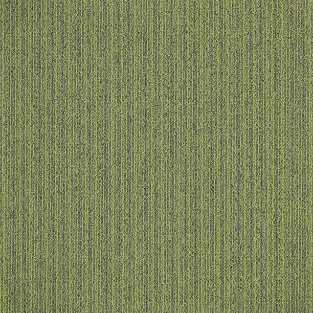 FS669