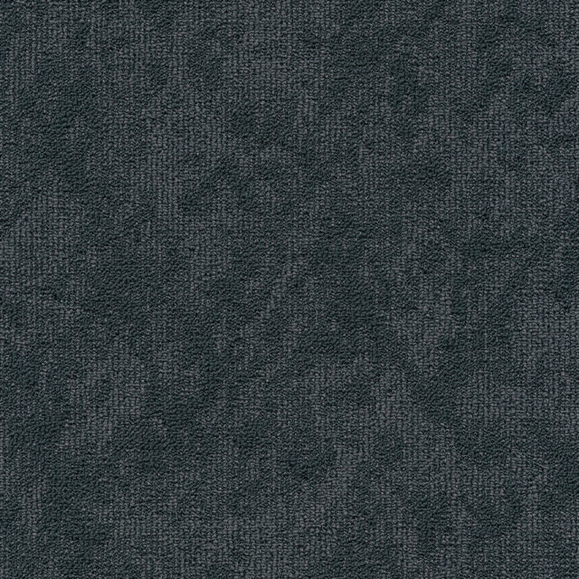 V511