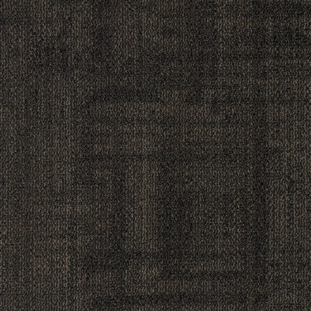 Minotaur 04
