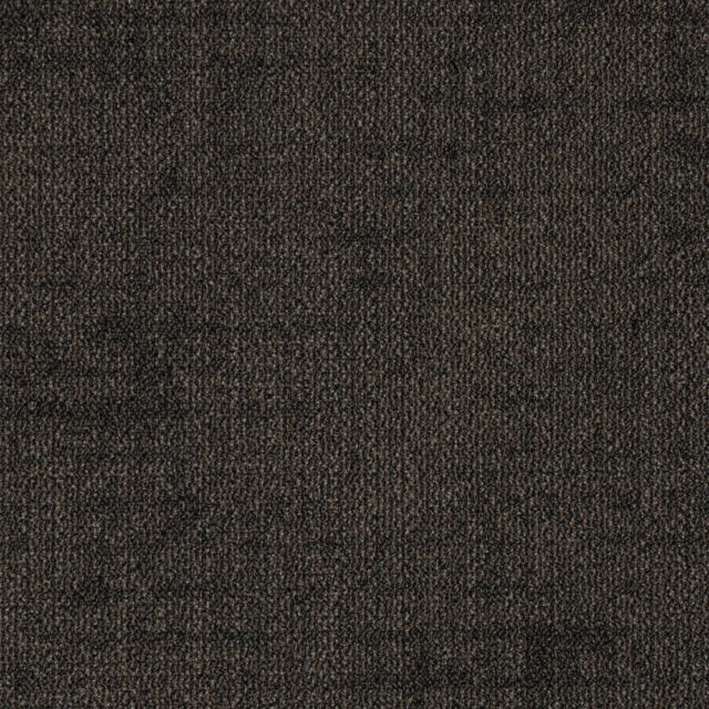 Minotaur 04
