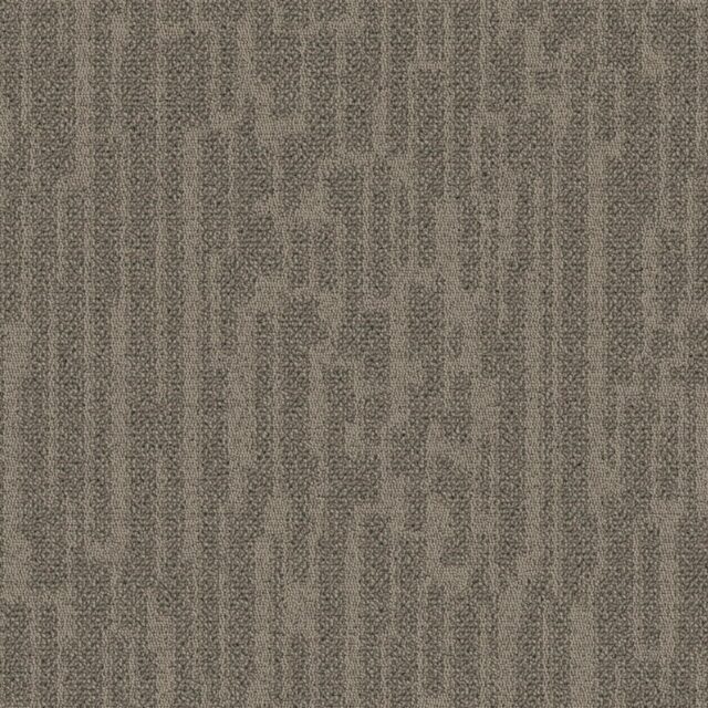 Golden Oat T793